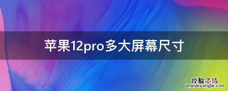 苹果12pro多大屏幕尺寸