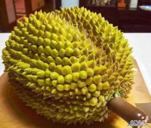 切开的榴莲可以过夜吗