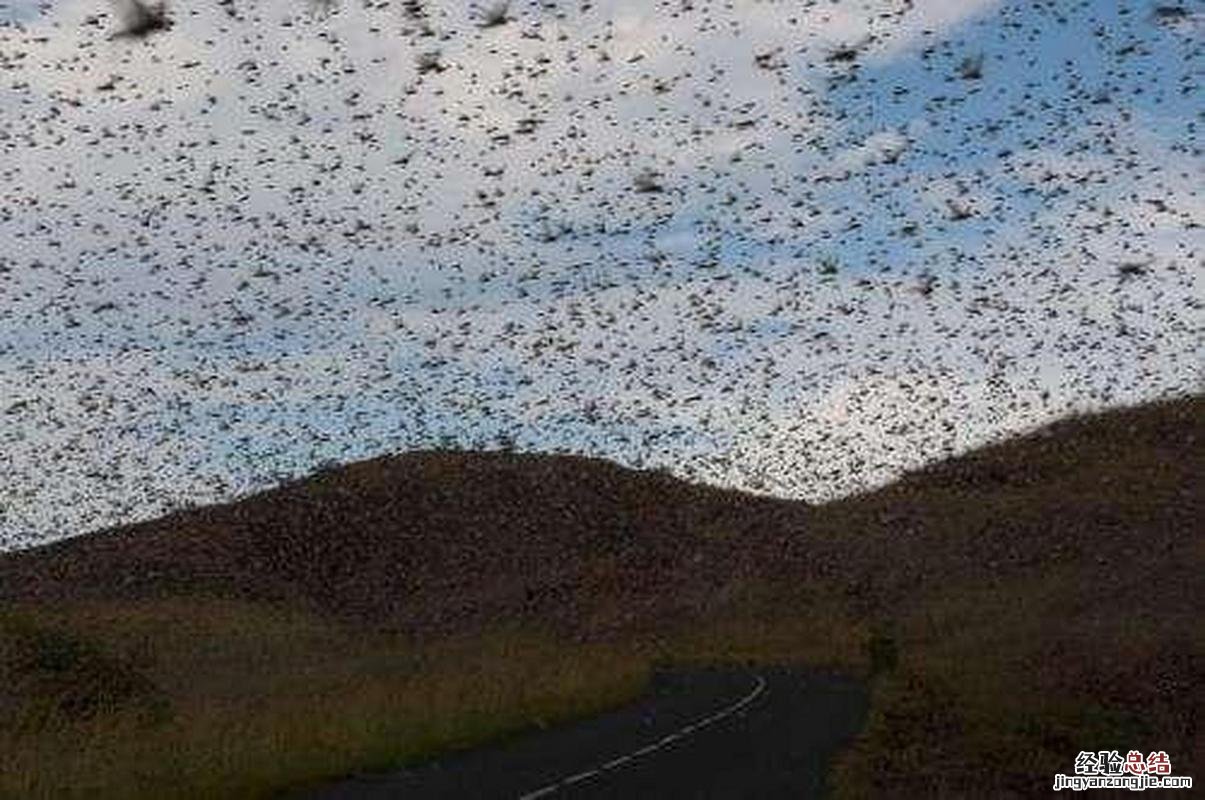 我国于何时正式将雾霾定为自然灾害