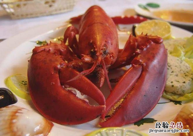 澳龙是什么意思