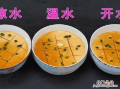 蒸蛋要几分钟才能好