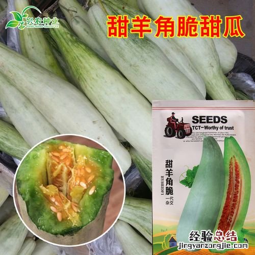 酥瓜和羊角蜜的区别