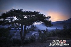 倚杖柴门外下一句