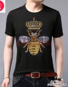 广东黑色的蜂叫什么