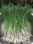 小香葱如何长期存放