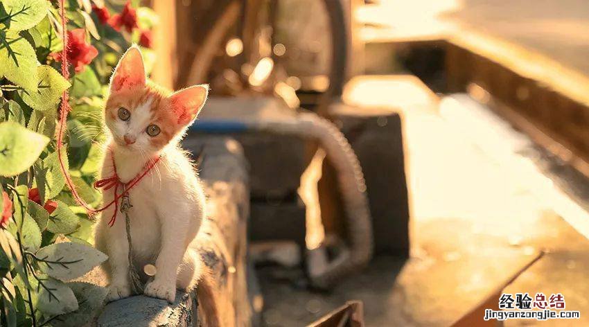 温差大怎么发朋友圈