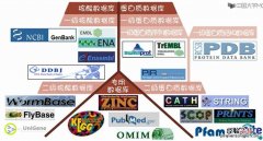 信息与数据的关系是