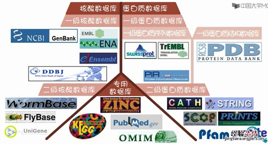 信息与数据的关系是