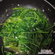 番薯叶怎么炒