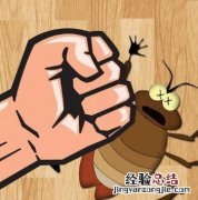 蟑螂冬天会自己死掉吗