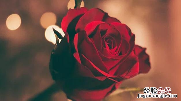 一年有多少个情人节