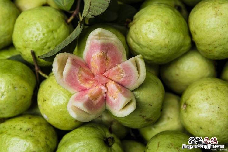 番石榴是热性还是凉性