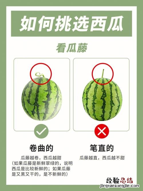 怎么挑西瓜