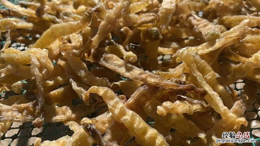 沙虫怎么炒好吃