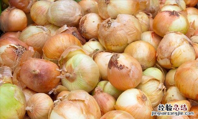 洋葱怎么保存