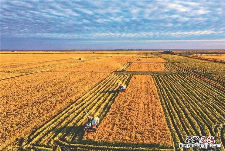 一垧地是多少亩地