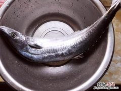 带鱼干怎么做好吃又简单