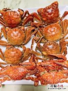 黄颜色的是什么蟹