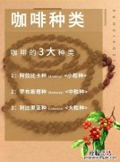 咖啡分几种咖啡的种类