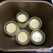 菠萝酸奶可以一起食用吗