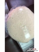 乔面粉如何发酵