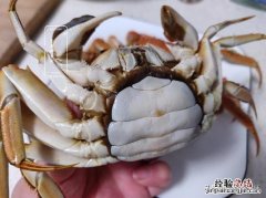 冰冻螃蟹还有营养吗