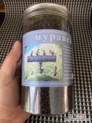 黑蚂蚁的功效与作用
