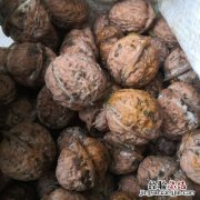 青皮核桃怎么保存时间长