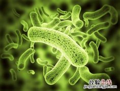 忄和心都与什么有关