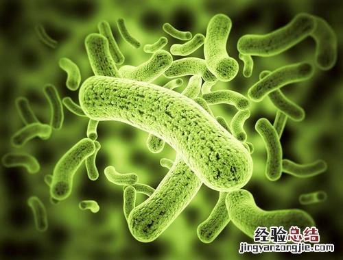忄和心都与什么有关