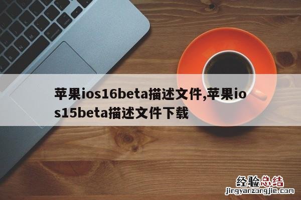 描述文件有安全隐患吗