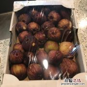 无花果怎么保存