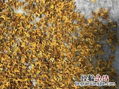 桂花能直接晒干吗