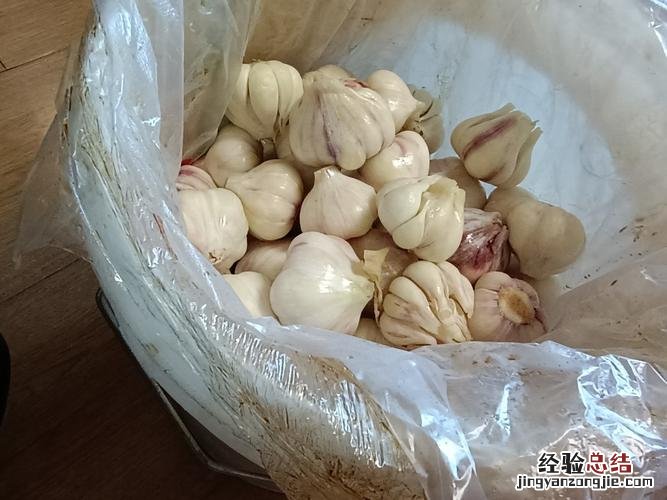 干大蒜怎样可以储存一年
