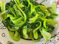 鸡毛菜怎么炒