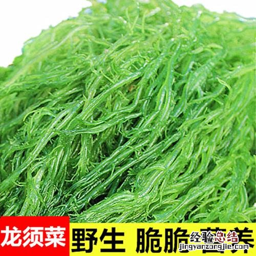 龙须菜要泡多久