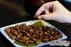 茧蛹怎么炒皮能酥脆那