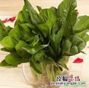广东过年葱和生菜寓意