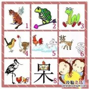 偷天换日猜一种动物