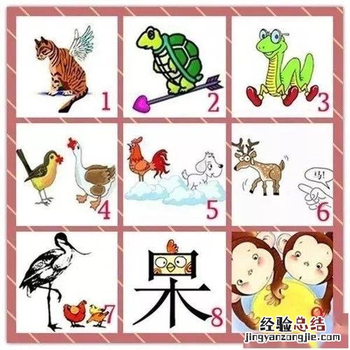 偷天换日猜一种动物