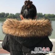 貉子毛是什么动物的毛
