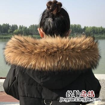 貉子毛是什么动物的毛