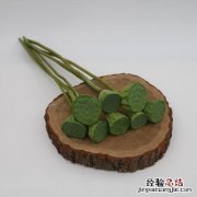 新鲜莲蓬如何保鲜