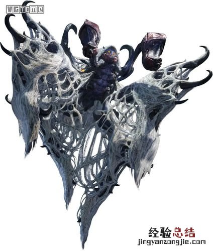 蜘蛛的特征简单介绍