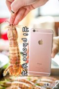 皮皮虾冷水蒸还是热水