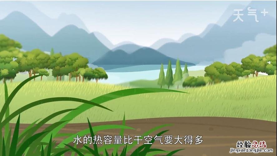 三伏天是什么意思