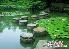 满招损的下一句