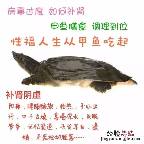 怎么判断甲鱼死了多久