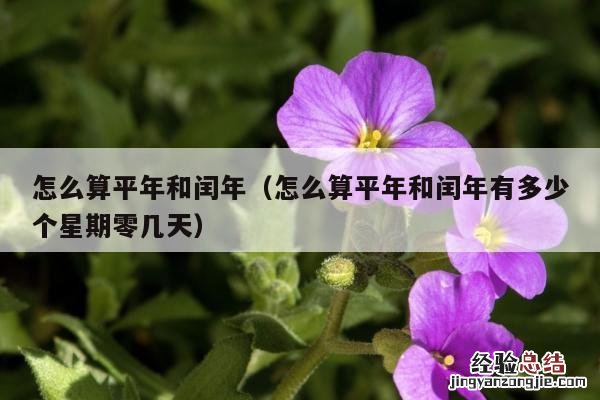 八月份有几个星期零几天