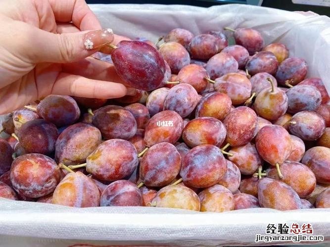 西梅还是青的能放熟吗